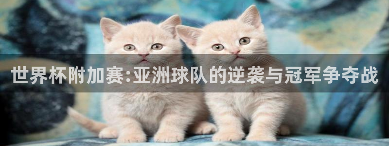 世界杯足球赛2026赛程时间：世界杯附加赛:亚洲球队的逆袭与冠军争夺战