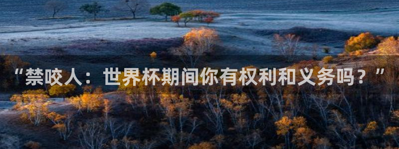 2026世预赛赛程:“禁咬人:世界杯期间你有权利和义务吗?”