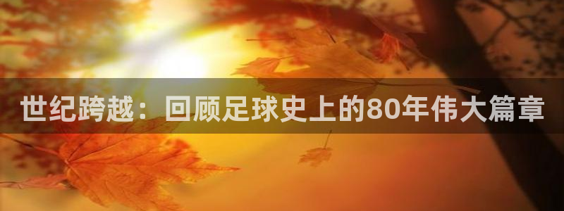 世界杯足球：世纪跨越：回顾足球史上的80年伟大篇章