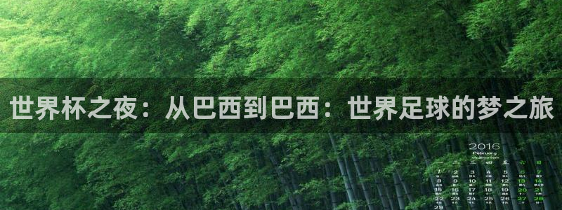 世界杯 2026：世界杯之夜：从巴西到巴西：世界足球的梦之旅