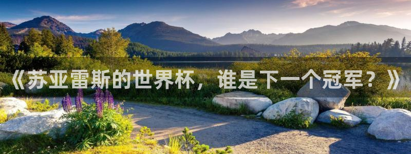 2026年世界杯赛程表时间：《苏亚雷斯的世界杯，谁是下一个冠军？》