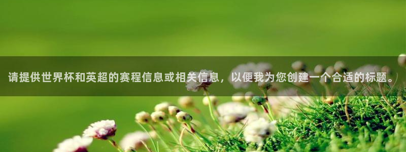 足球世界杯2026年赛程时间表：请提供世界杯和英超的赛程信息或相关信息，以便我为您创建一个合适的标题。