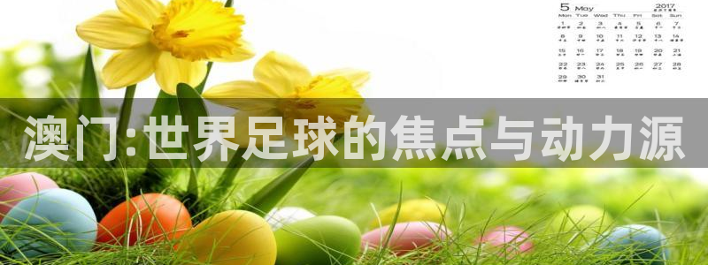世界杯预选赛直播：澳门:世界足球的焦点与动力源