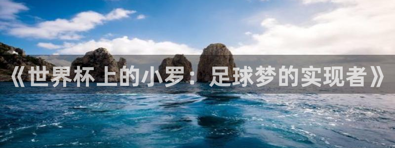 足球杯：《世界杯上的小罗：足球梦的实现者》