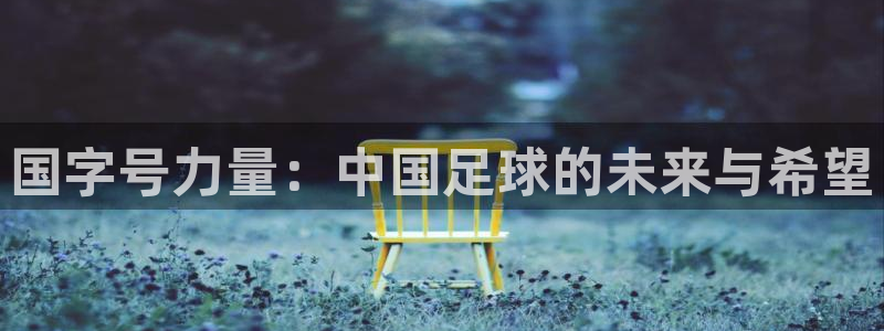 2026世界杯欧洲预选赛赛程表：国字号力量：中国足球的未来与希望