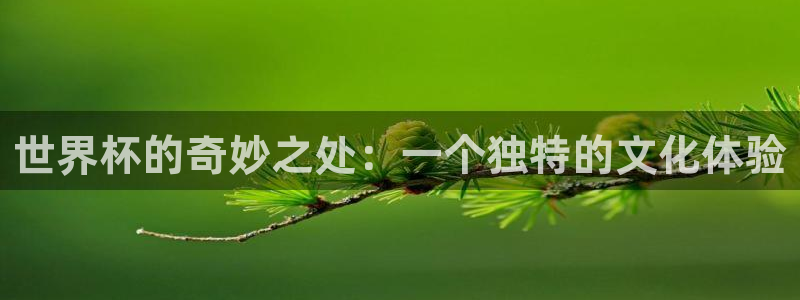 世界杯亚洲区预选赛赛程：世界杯的奇妙之处：一个独特的文化体验