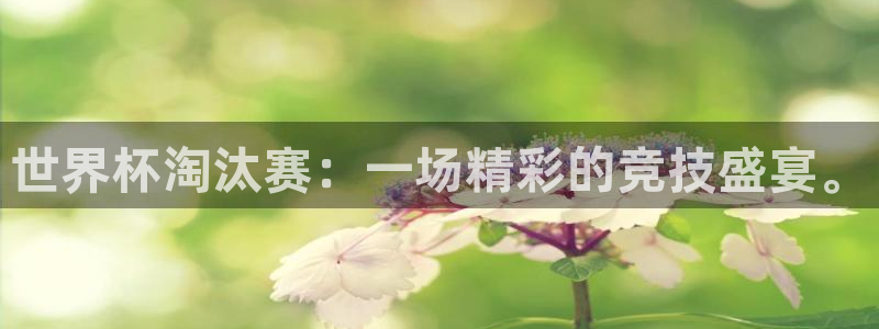 2026男足世界杯赛程：世界杯淘汰赛：一场精彩的竞技盛宴。