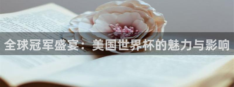 2006年世界杯冠军：全球冠军盛宴：美国世界杯的魅力与影响