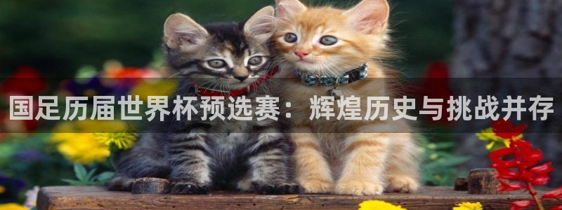 世界杯16强赛程表：国足历届世界杯预选赛：辉煌历史与挑战并存