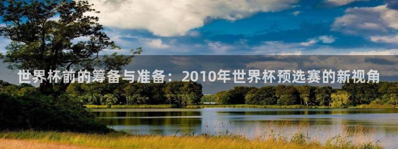 世界杯预选赛亚洲：世界杯前的筹备与准备：2010年世界杯预选赛的新视角