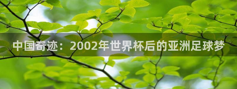 世界杯预选赛排名：中国奇迹：2002年世界杯后的亚洲足球梦